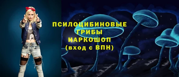 амф Арсеньев