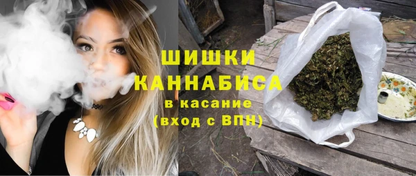 амф Арсеньев