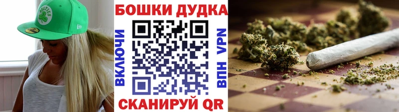 Канабис планчик  дарнет шоп  Белая Холуница 